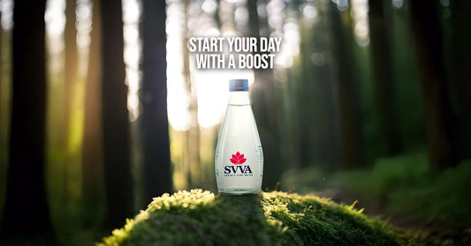 Before You Buy Mineral Water, Discover the Benefits of SVVA Earth’s Finest Water