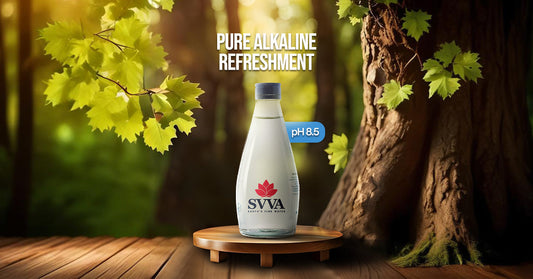 Buying Mineral Water? Here’s Why SVVA Should Be Your First Choice
