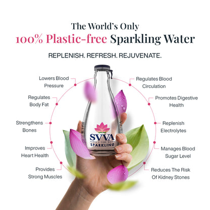 SPARKLING WATER  (250 ML)